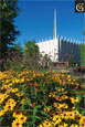 Postcard Chapel With Yellow Cone Flowers