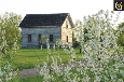 Postcard Cabin With Plum Trees