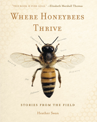 2023 Where Honeybees Thrive