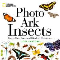 2023 National Geographic Photo Ark Insects