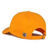 CAP THE GAME GUSTAVUS ADOLPHUS