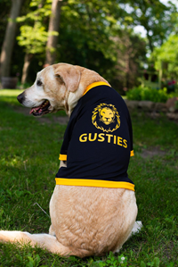 PET JERSEY ALL STAR DOGS GUSTIES BLACK AND GOLD WITH GUS