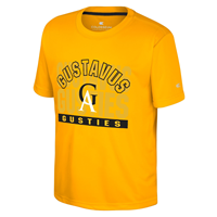 Youth T-Shirt Colosseum Gustavus Gusties GA Tonal Gold